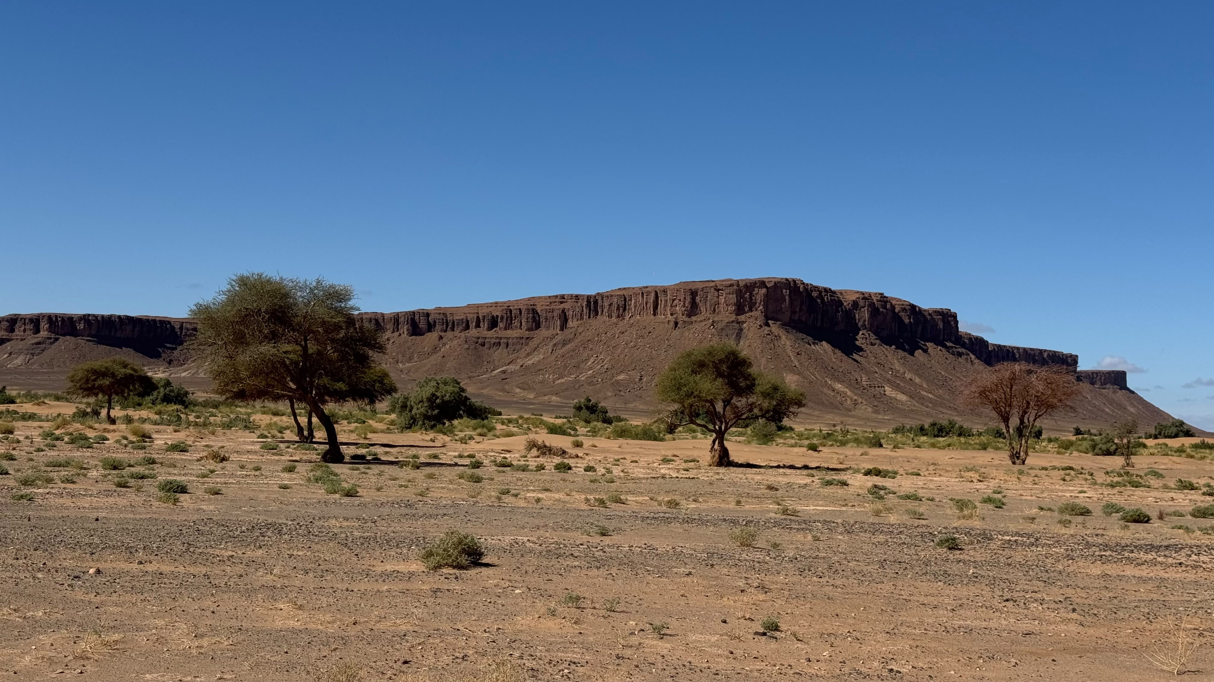 2-Day Wild Dune Trekking &amp; Under-Canvas Bivouac in M’Hamid